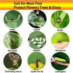 DECKON 50 Pieces Yellow Double Sided Fly Trap, Double Sided Yellow Traps For Flying Insects - Greenhouse And Outside, Aphids, Fungus Gnats, Mosquitoes, Aphids, Whiteflies, Flies.(15x20cm) -Indoor Flower Pot 98759873 5