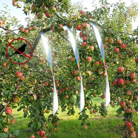 Bird Repellent Tape, 4.8cm X 80m Holographic Bird Tape To Keep Away Pigeons, Ducks, Crows Reflective Tape 7 Bird Repellent Tape, 4.8cm X 80m Holographic Bird Tape To Keep Away Pigeons, Ducks, Crows Reflective Tape - Image 5