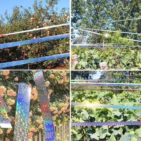 Way Repellent Tape 2 Rolls 2.4CM100M Anti Pigeon Bird Scarer Double Sided Bird Repellent Holographic Glossy Bird Repellent Tape For Scaring Birds Bird Repeller 7 Way Repellent Tape 2 Rolls 2.4CM100M Anti Pigeon Bird Scarer Double Sided Bird Repellent Holographic Glossy Bird Repellent Tape For Scaring Birds Bird Repeller - Image 5