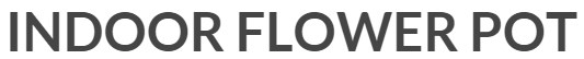 Indoor Flower Pot